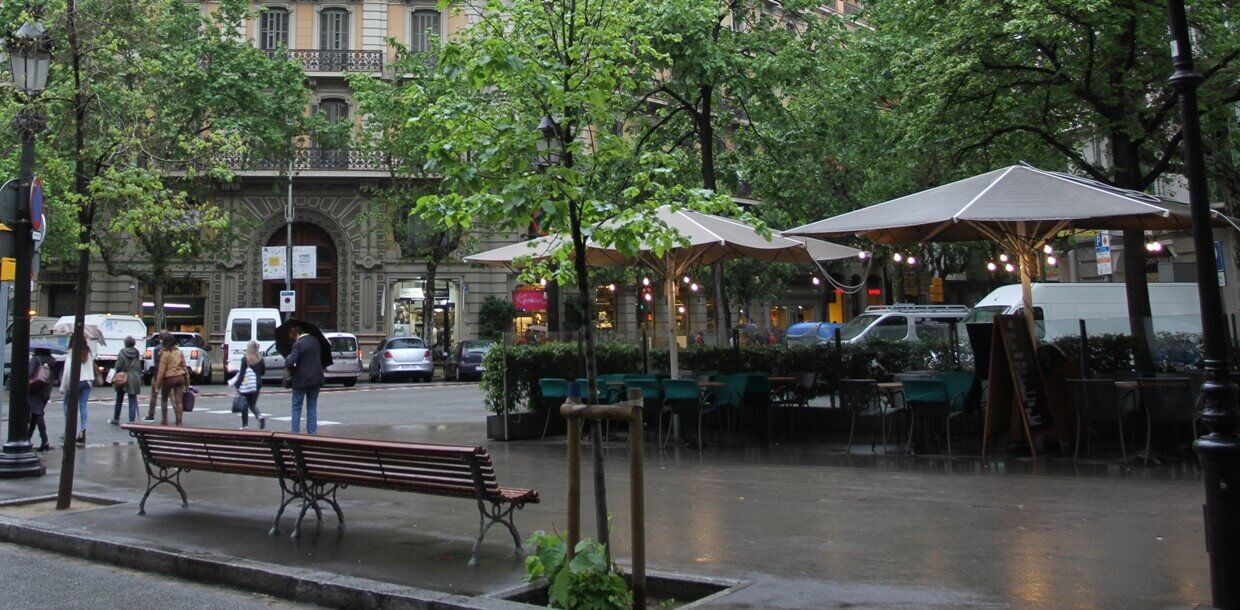  Welcome to Our Official Website